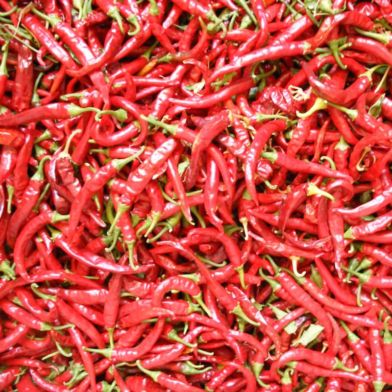 Hot Cayenne Slim Pepper Seeds (Organic) – Vegetable Seeds