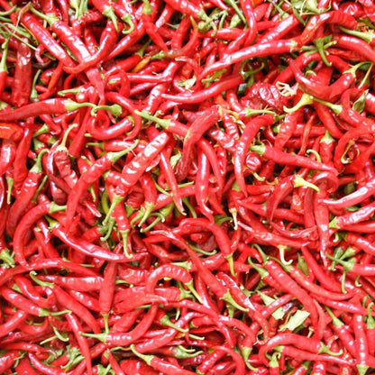 Hot Cayenne Slim Pepper Seeds (Organic) – Vegetable Seeds
