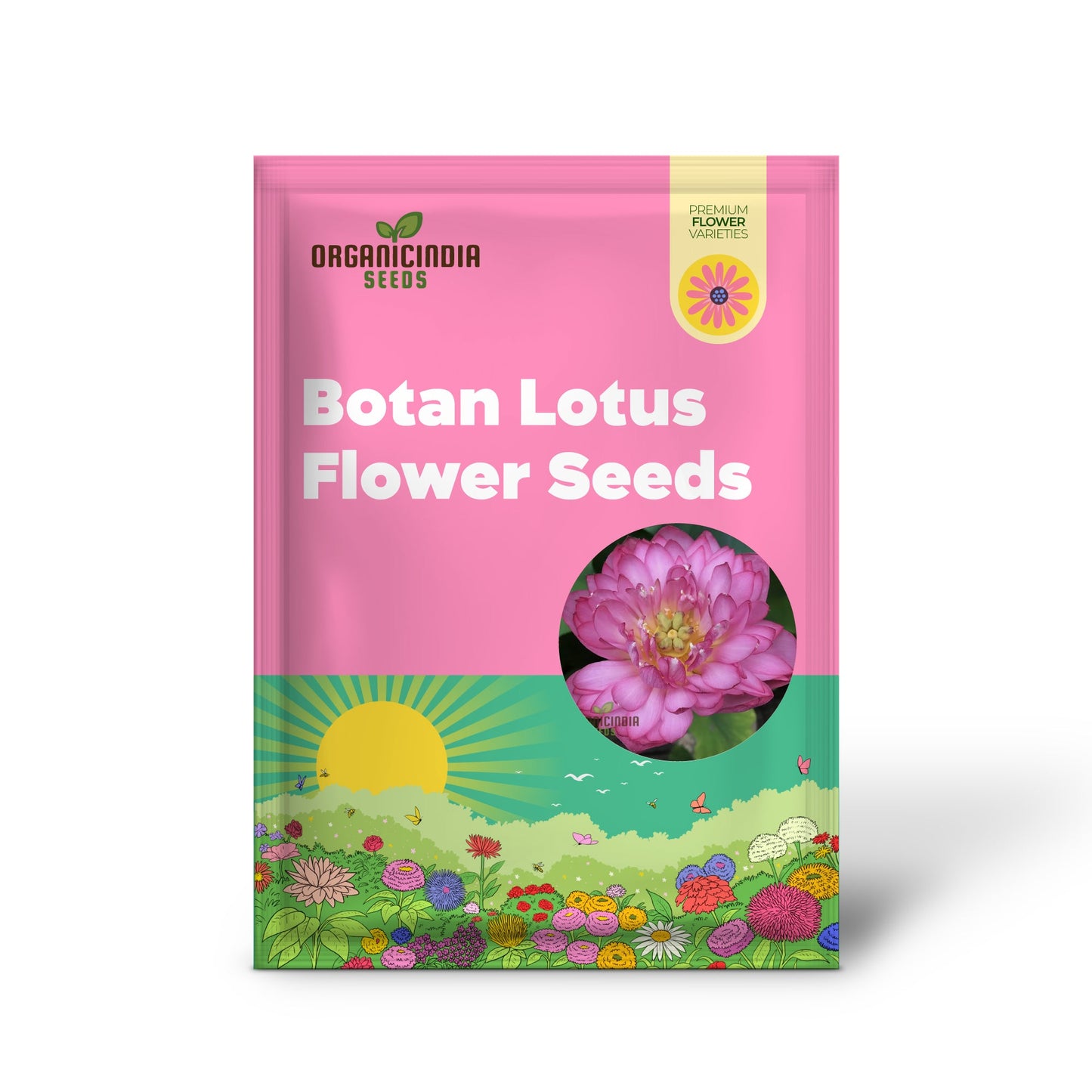 Lotus Seeds (Momo Botan Lotus Seeds) - Exquisite Pink Blooms for Ponds & Water Gardens