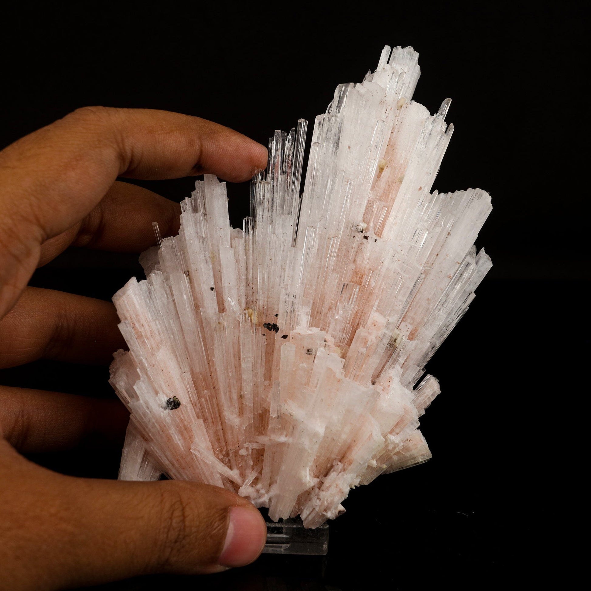 Pink Scolecite Sprays Rare found Natural Mineral Specimen – Scolecite