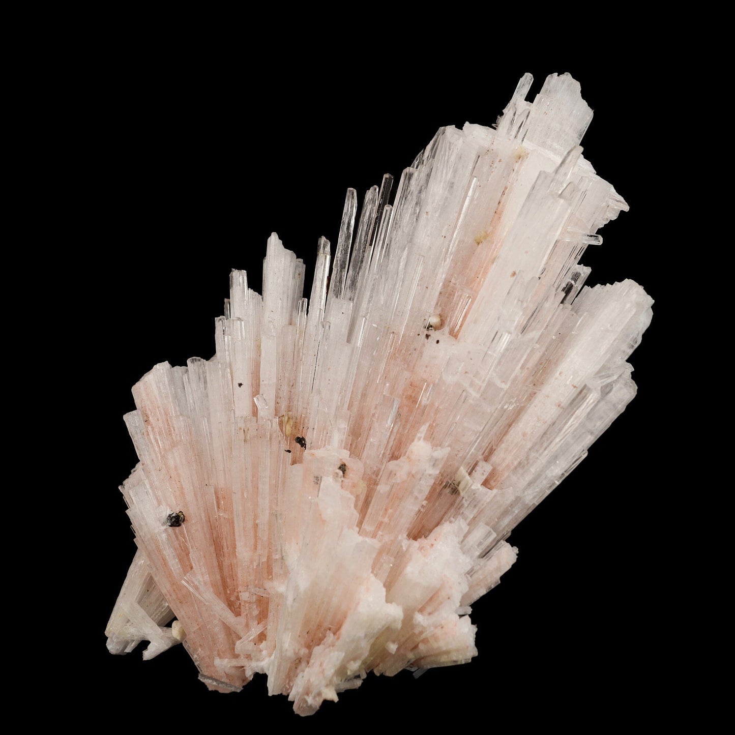 Pink Scolecite Sprays Rare found Natural Mineral Specimen – Scolecite
