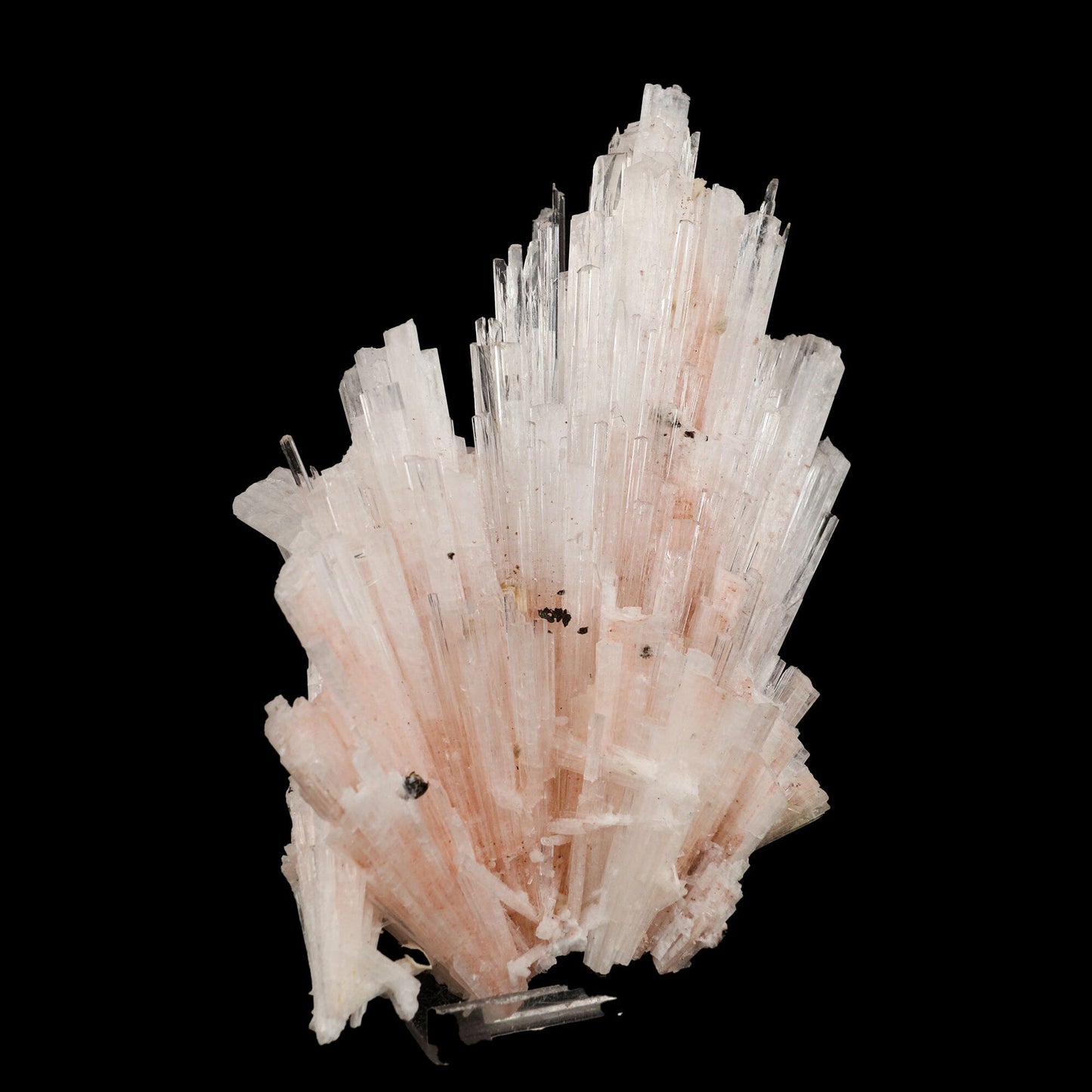 Pink Scolecite Sprays Rare found Natural Mineral Specimen – Scolecite