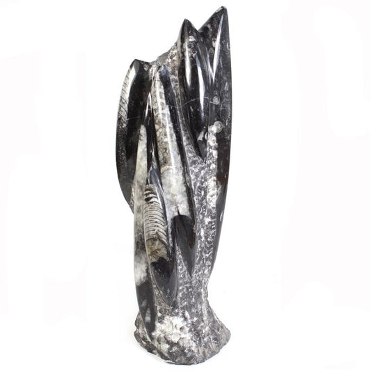 Orthoceras Sculpture $50.00 – Rocks & Fossils