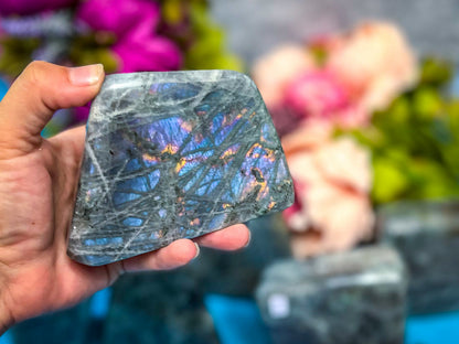 Large Labradorite Freeform – 550-599 grams