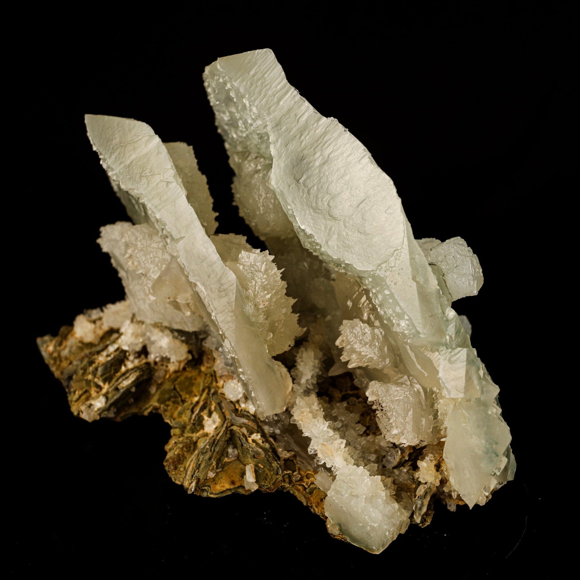 Mint Green Calcite Plate Formation 7" - Nashik India – Calcite