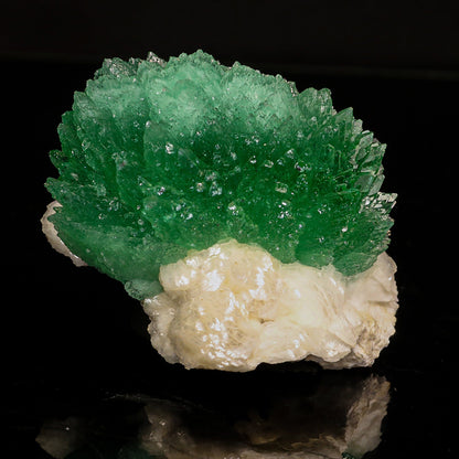 Rare Green Apophyllite with Heulandite Natural Mineral Specimen # B 6830