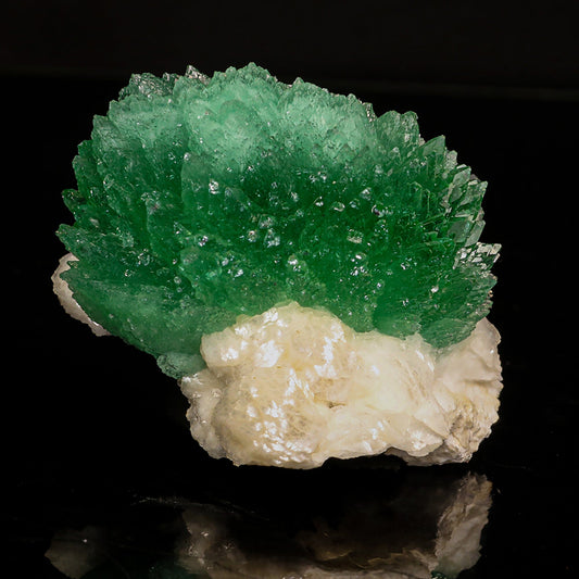 Rare Green Apophyllite with Heulandite Natural Mineral Specimen # B 6830