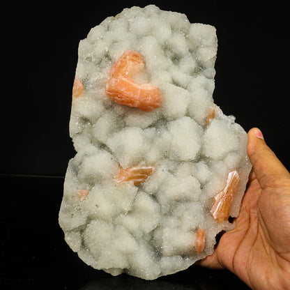 Rare green Julgoldite with pink stilbite Natural Mineral Specimen # B 6779