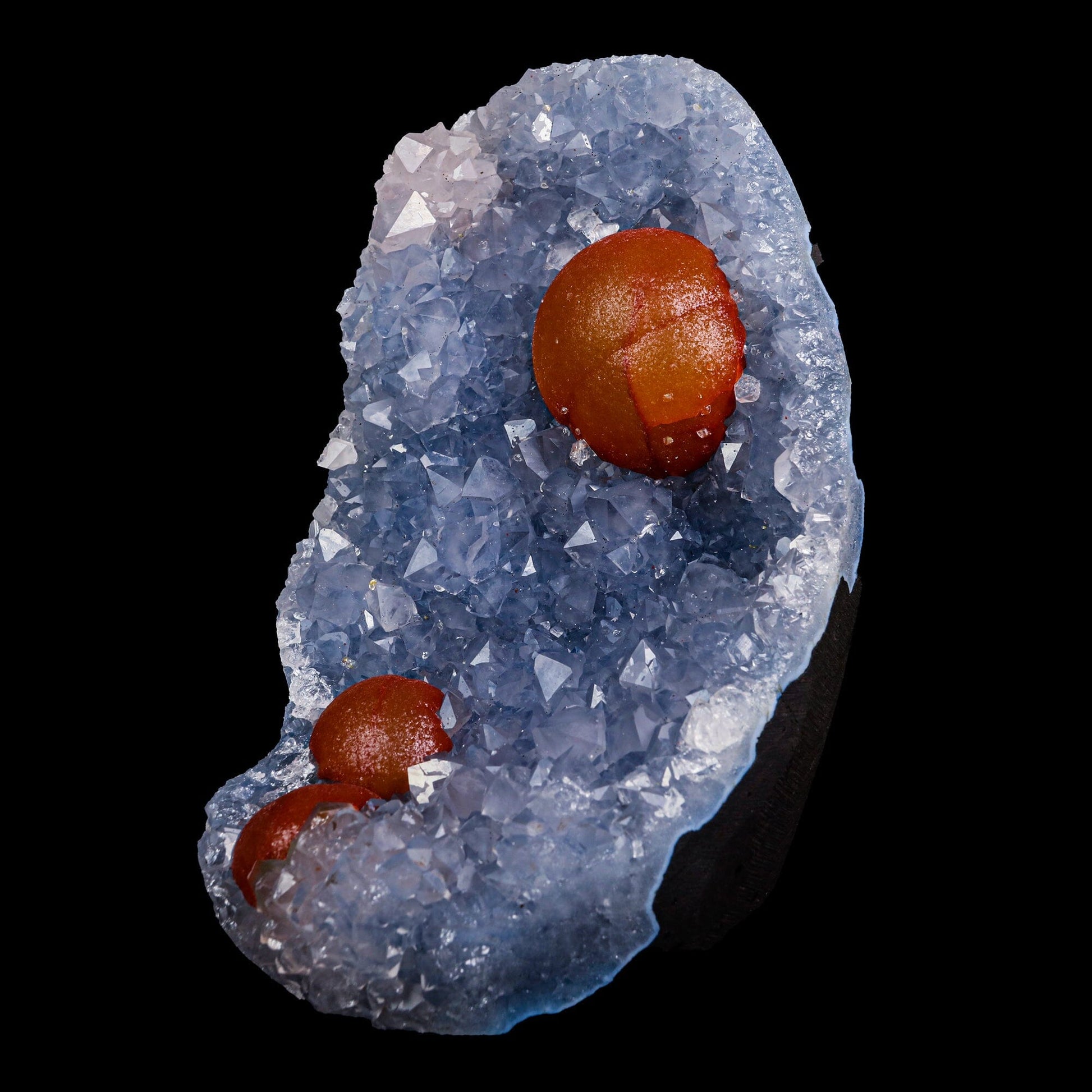 Rare Red Botryoidal Fluorites Natural mineral Specimen (USA) – Fluorite