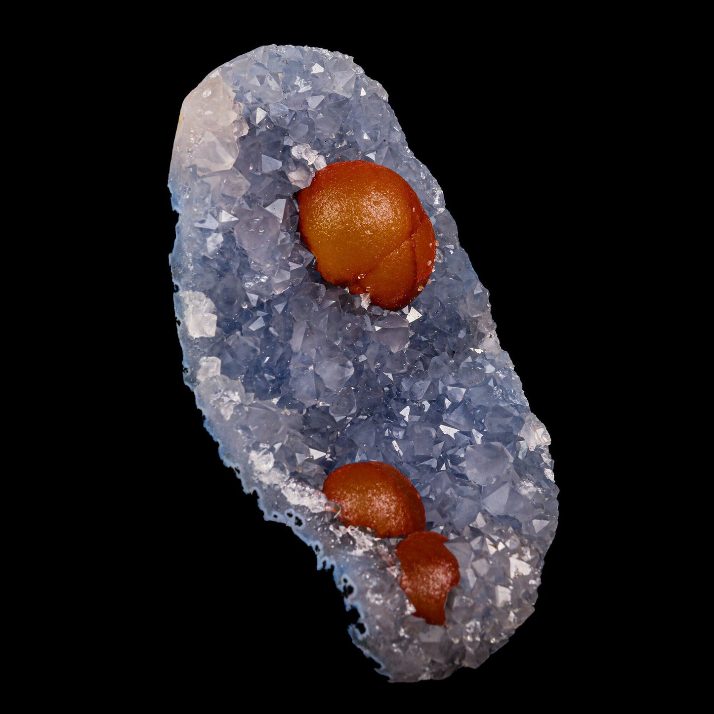 Rare Red Botryoidal Fluorites Natural mineral Specimen (USA) – Fluorite