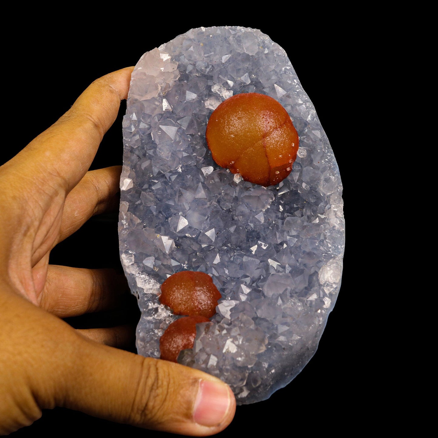 Rare Red Botryoidal Fluorites Natural mineral Specimen (USA) – Fluorite