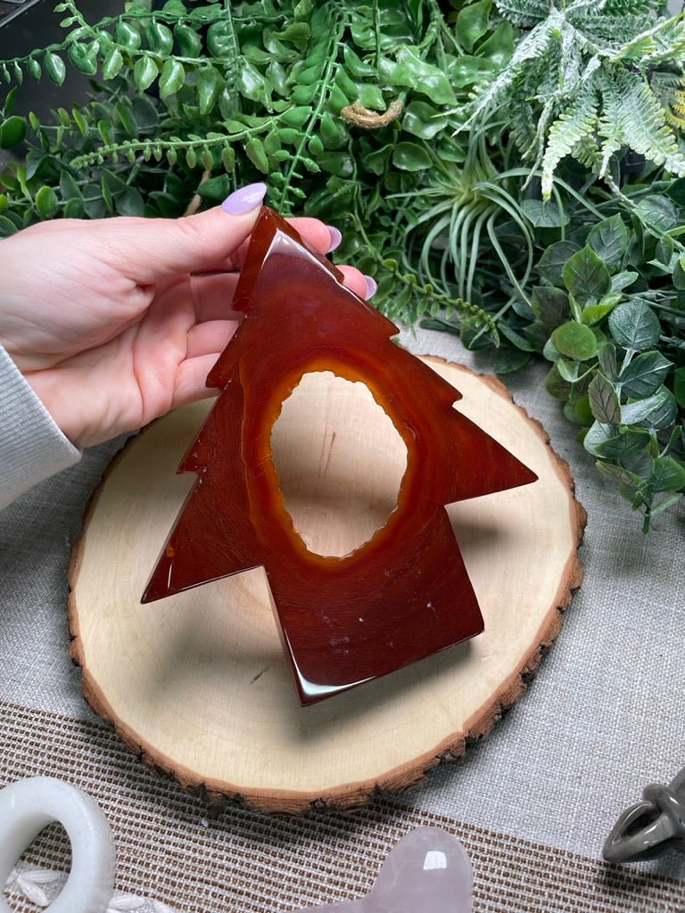 Red Druzy Agate Tree