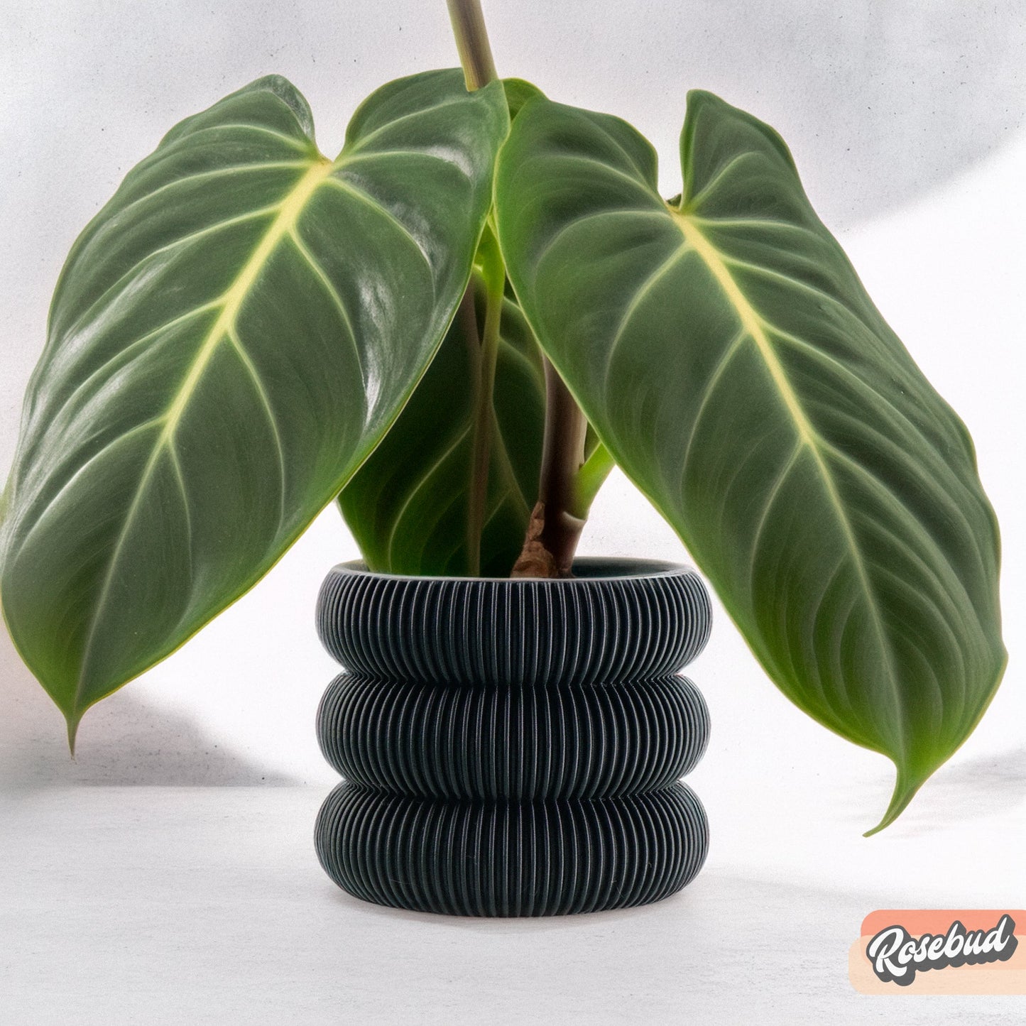 Ribbed Bubble Plant Pot With Drainage and Saucer – Black Planter
