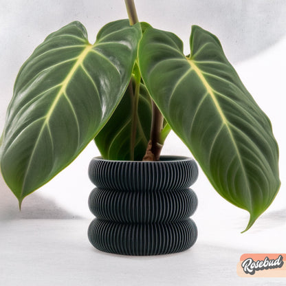 Ribbed Bubble Plant Pot With Drainage and Saucer – Black Planter
