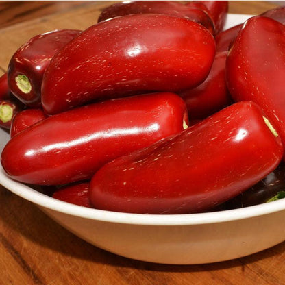 Hot Jalapeno Early Pepper Seeds (Organic) – Vegetable Seeds