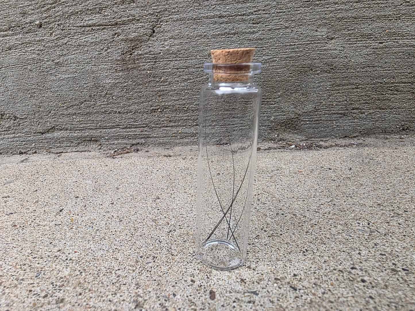 Black Cat Whiskers Curio Vial