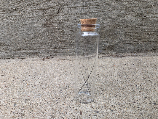 Black Cat Whiskers Curio Vial