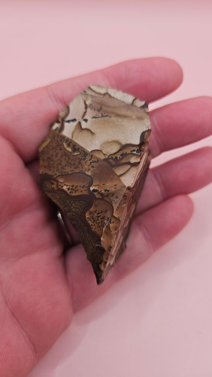 Rough Deschutes Jasper Specimen – 38g Oregon Picture Jasper with Scenic Earth Tones – Collector’s Natural Stone –