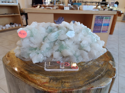 Green Apophyllite Crystal 1.34lb - Stilbite India – Minerals