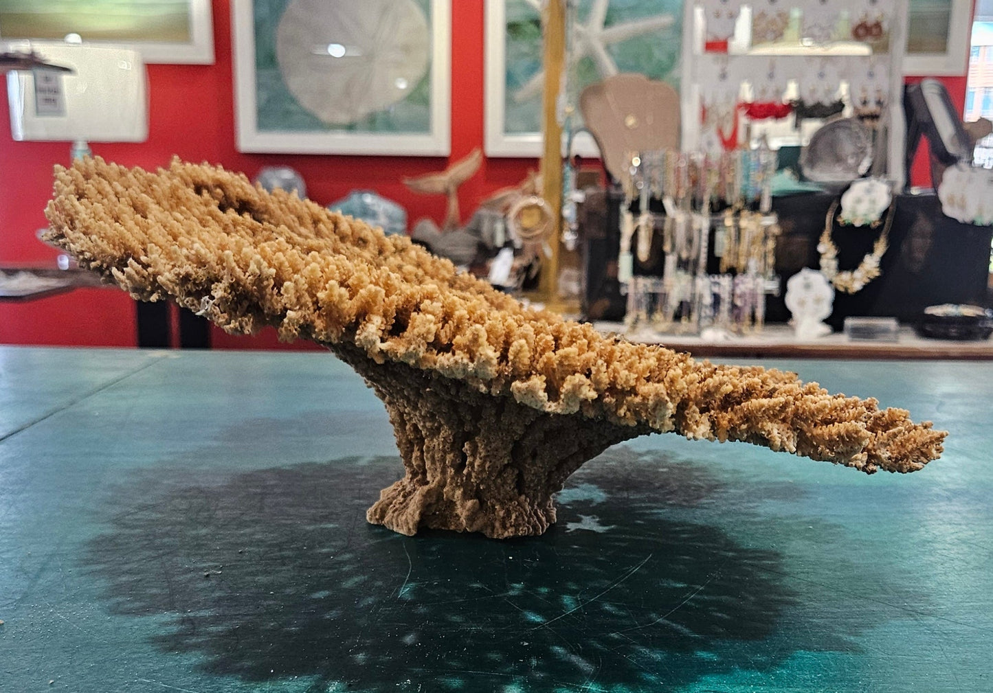 Natural Table- Special Plate Coral 15.75" – Coral