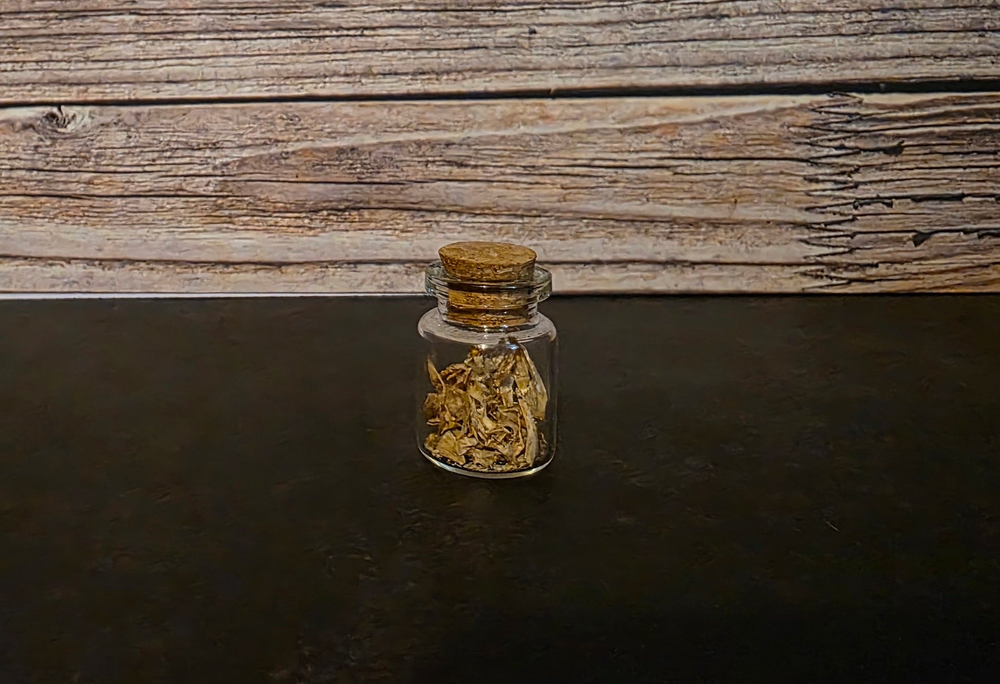 Juvenile Catfish Bones Curio Vial –