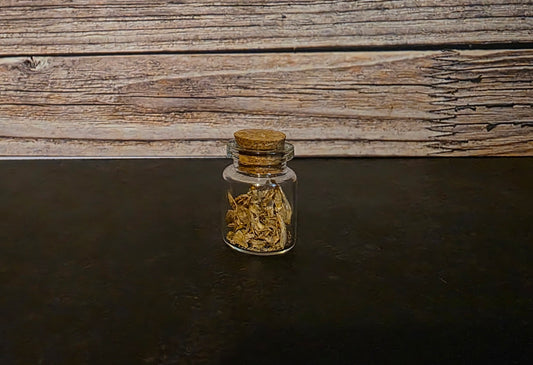 Juvenile Catfish Bones Curio Vial –