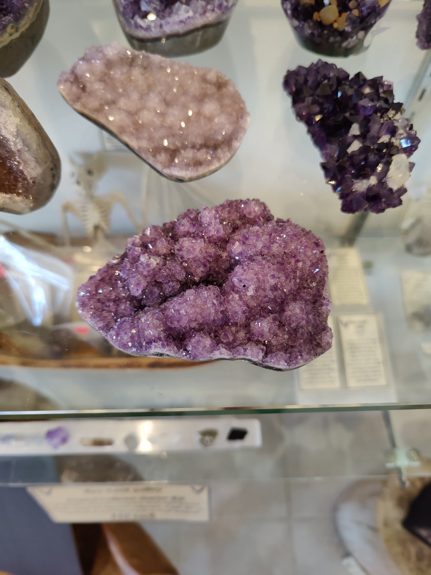 Amethyst Druze – Lapidary