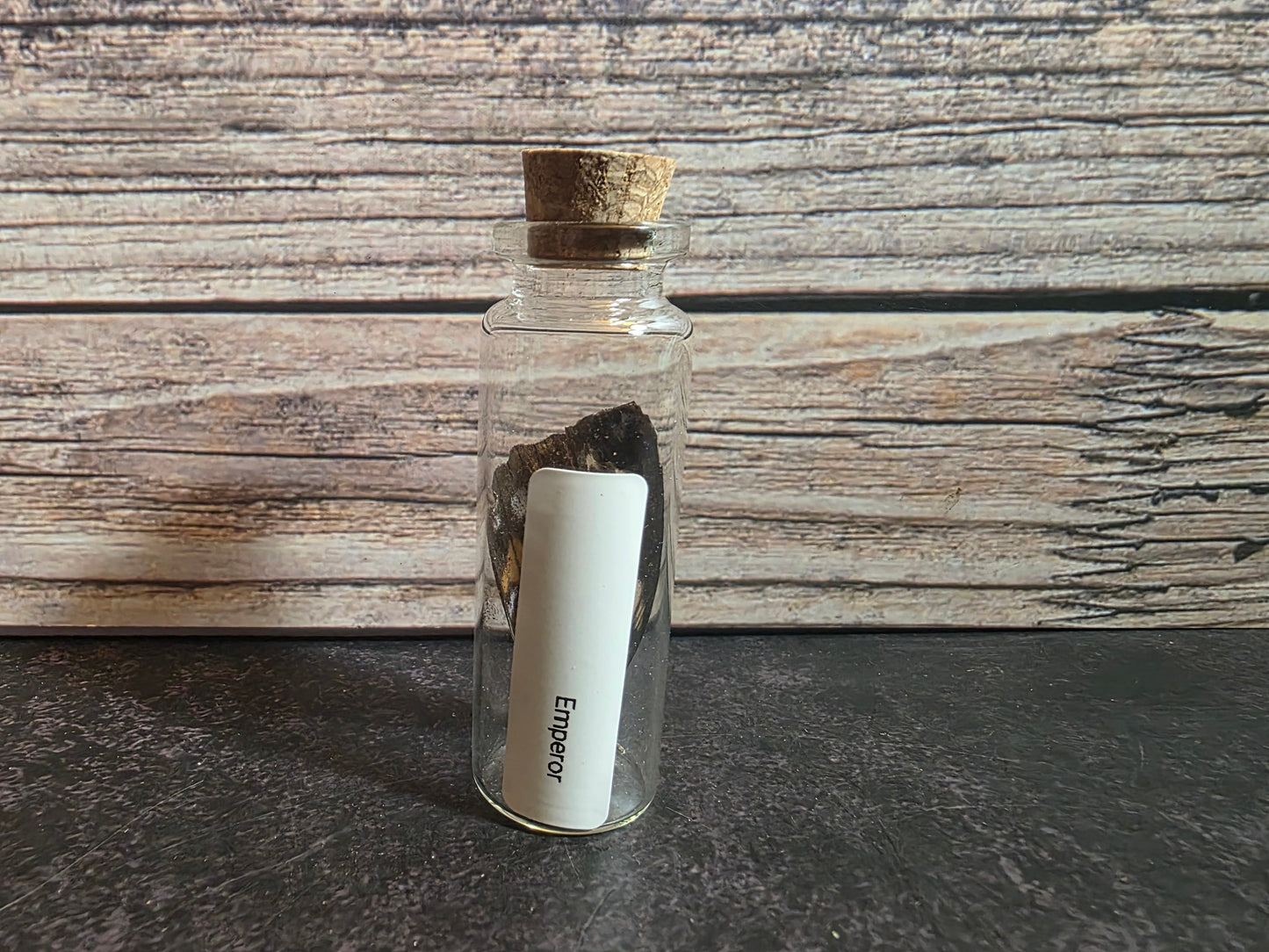 Butterfly Wing Curio Vial