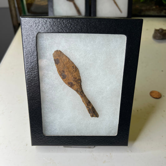 Roman Iron Hasta Javelin Head | 200–300 AD –