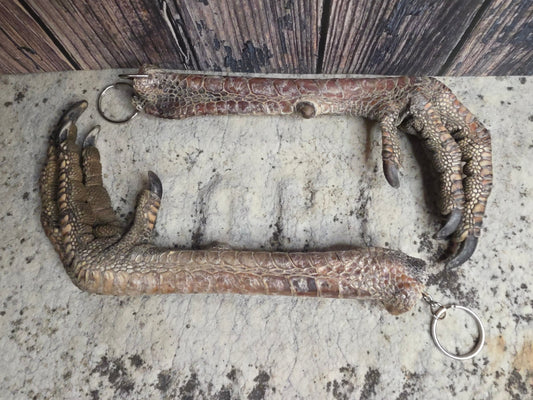 Dry Preserved Turkey Foot Statement Keychain