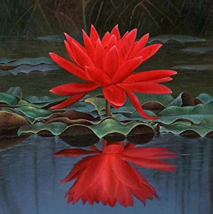 Red Lotus Flower Seeds for Planting