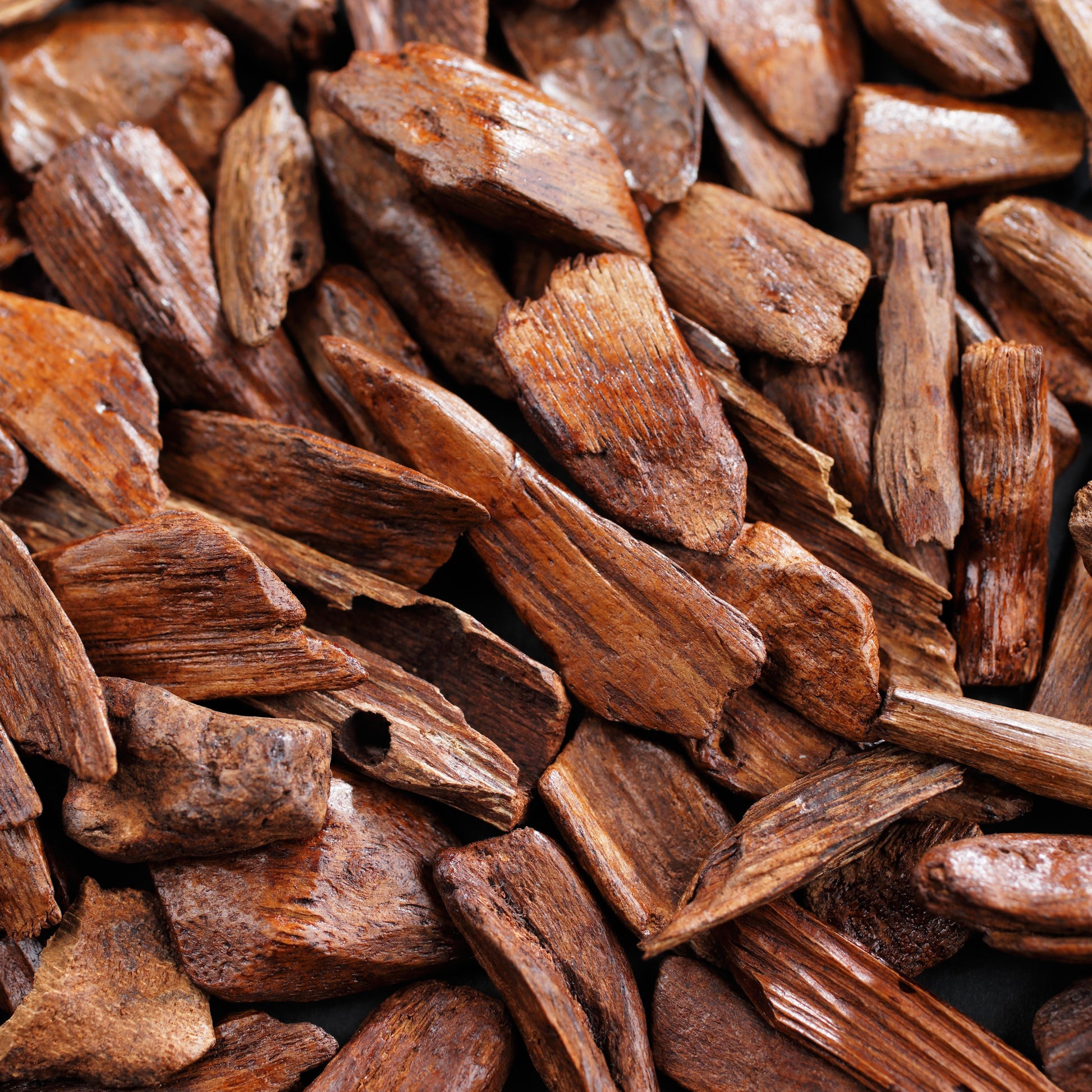Sandalwood Essential Oil – Essential_Oil