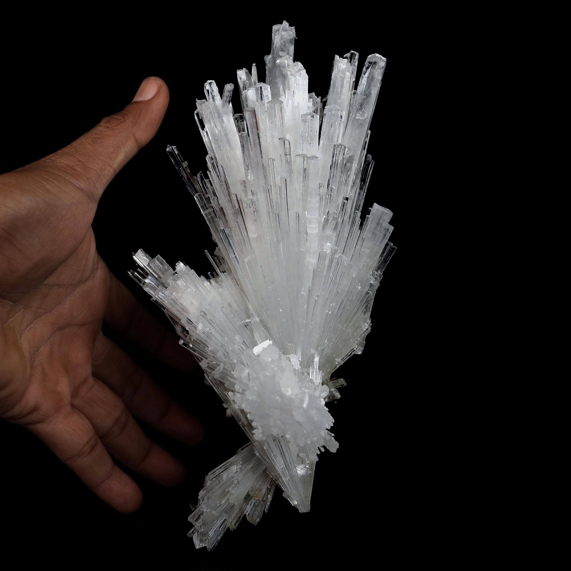 Scolecite Glassy Spray Natural Mineral Specimen # B 4608 – Scolecite