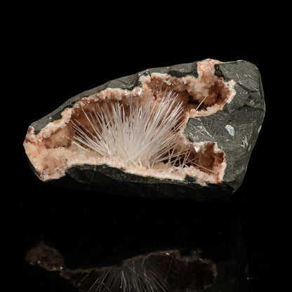 Scolecite in Heulandite Geode Natural Mineral Specimen # B 6771