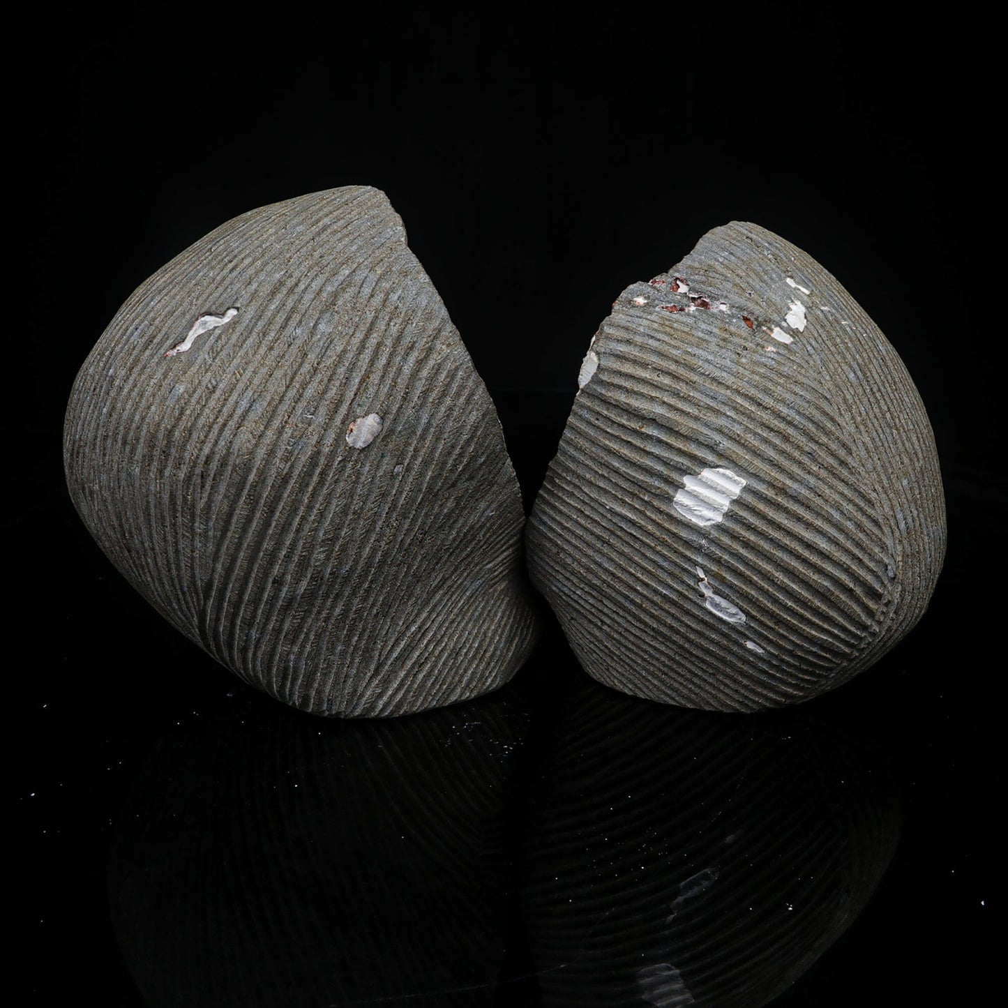 Scolecite Spray Inside Complete Geode Natural Mineral Specimen – Scolecite