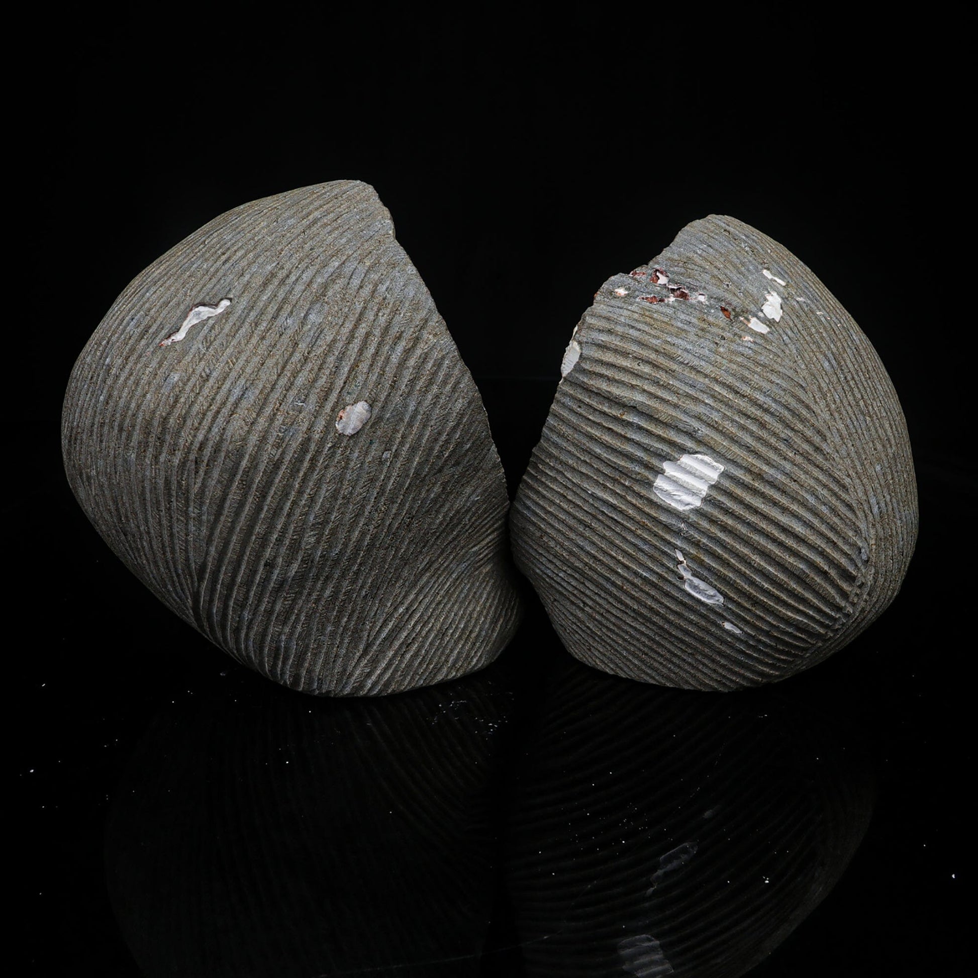 Scolecite Spray Inside Complete Geode Natural Mineral Specimen – Scolecite