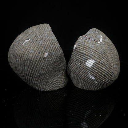 Scolecite Spray Inside Complete Geode Natural Mineral Specimen – Scolecite