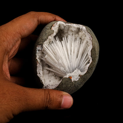 Scolecite Spray Inside MM Quartz Geode Natural Mineral Specimen – Scolecite