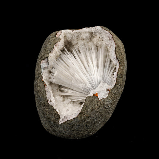 Scolecite Spray Inside MM Quartz Geode Natural Mineral Specimen – Scolecite