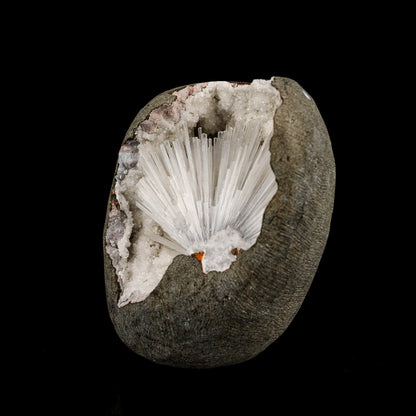 Scolecite Spray Inside MM Quartz Geode Natural Mineral Specimen – Scolecite