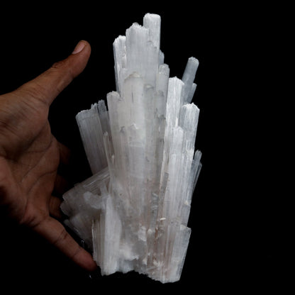 Scolecite Sprays Natural Mineral Specimen # B 4764 – Scolecite