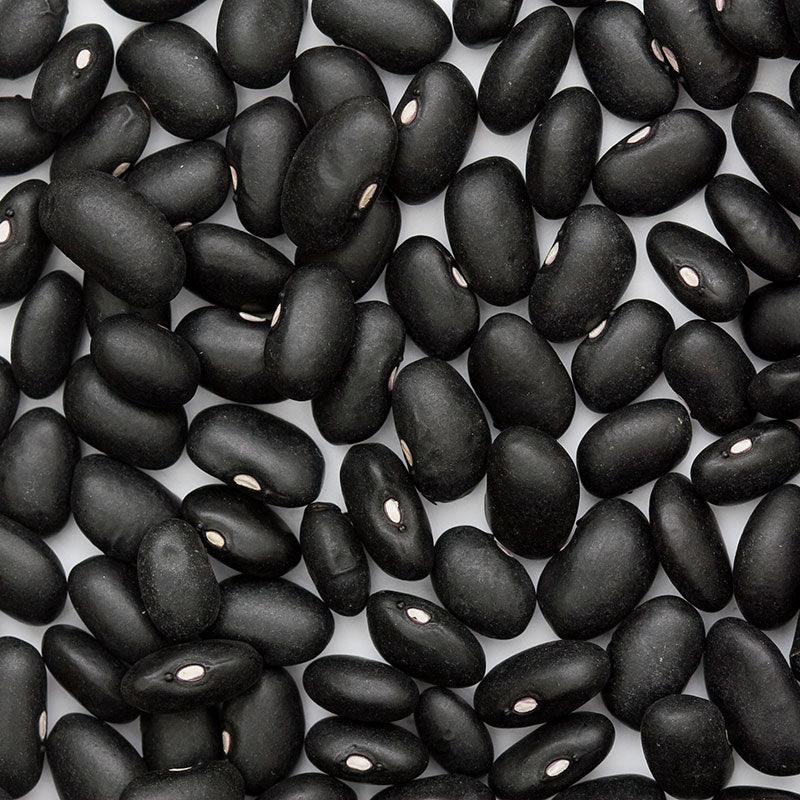 Black Turtle Bush Bean Seeds (Organic) – Vegetable Seeds