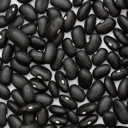Black Turtle Bush Bean Seeds (Organic) – Vegetable Seeds