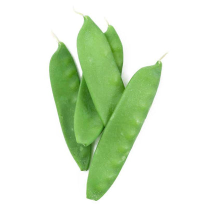 Pea Seeds (Organic) Oregon Sugar Pod – Vegetable Seeds