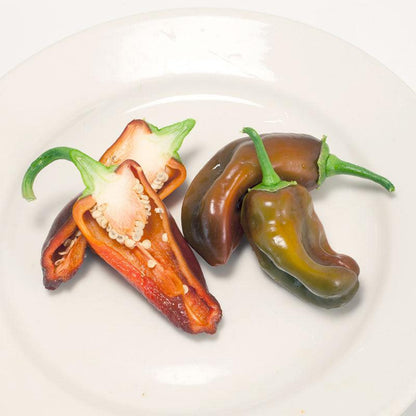 Chocolate Sweet Pepper Seeds (Organic) – Vegetable Seeds