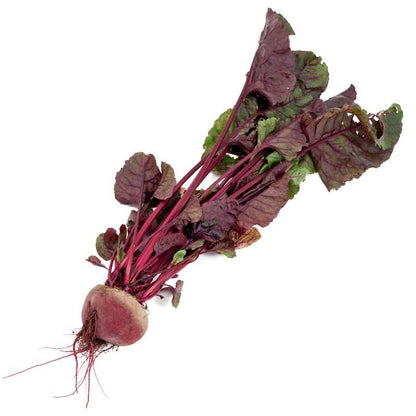 Bull's Blood Beet Seeds (Organic) – Vegetable Seeds
