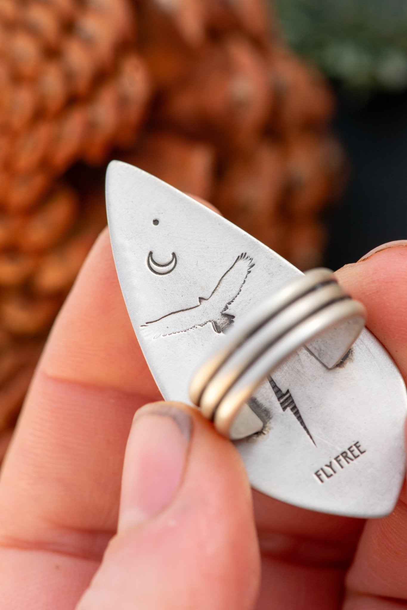 SOARING SONORAN SUNRISE