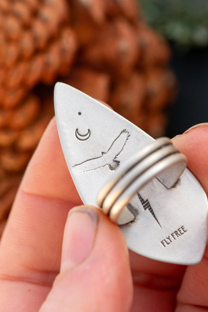 SOARING SONORAN SUNRISE