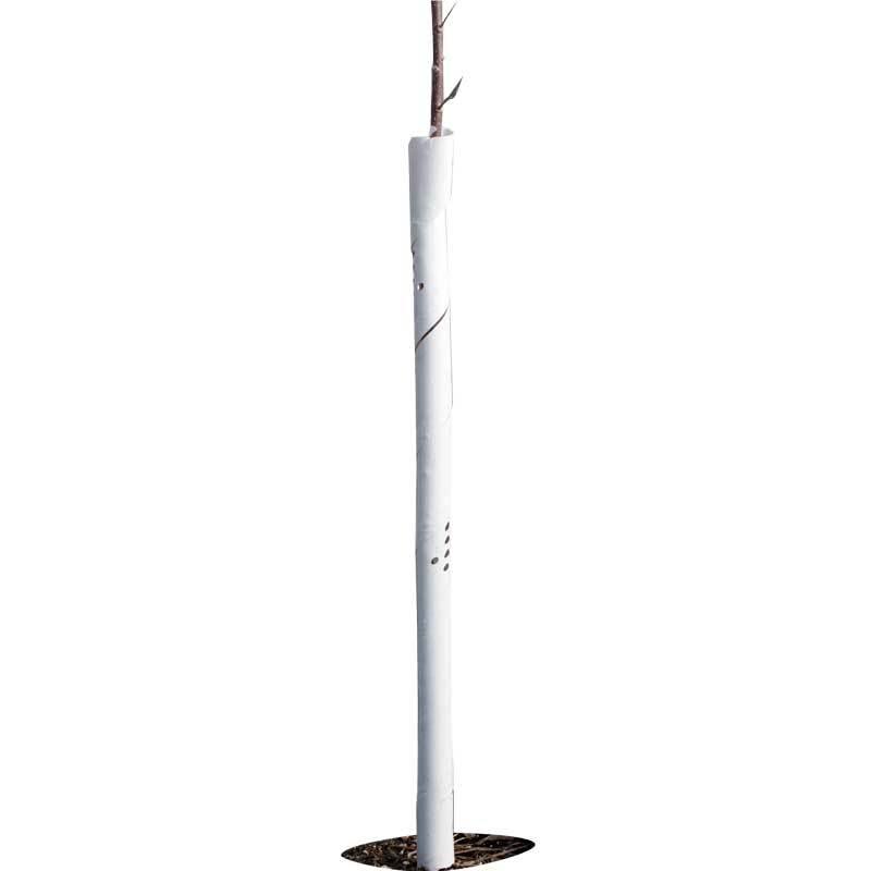 Spiral Tree Guards - 36" (Pack of 5) – Pest Control