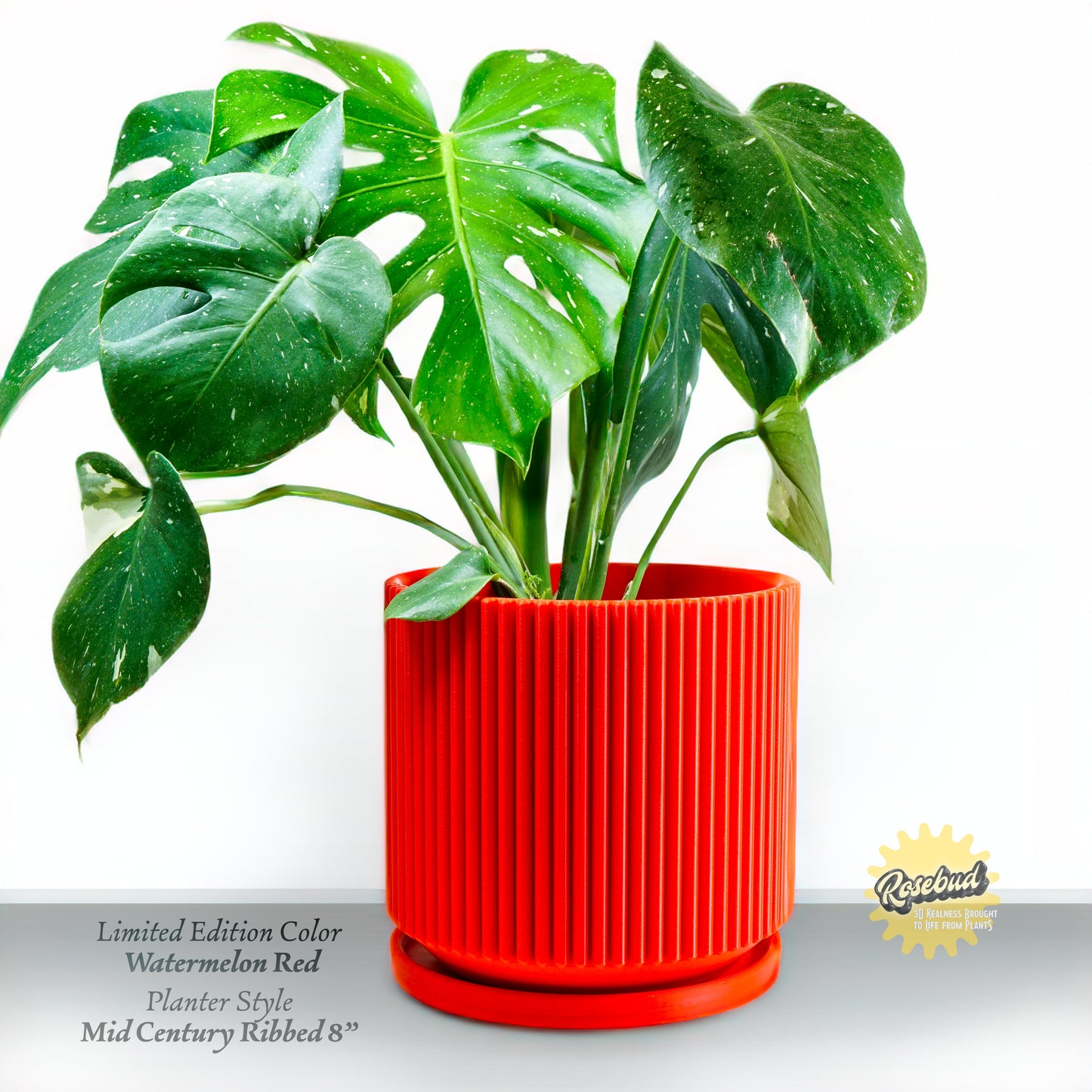 Mid-Century Ribbed Planter | 3D Printed Modern Plant Pot – Pots & Planters